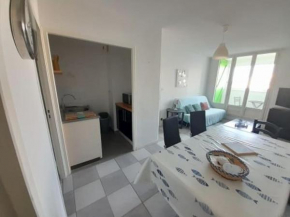 Charmant T3 en bord de mer, parking privé, animaux admis, non-fumeurs, proche commerces et pistes cyclables - FR-1-324A-59